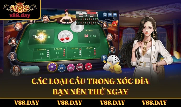 cac loai cau trong xoc dia ban nen thu ngay Các loại cầu trong Xóc Đĩa bạn nên thử ngay